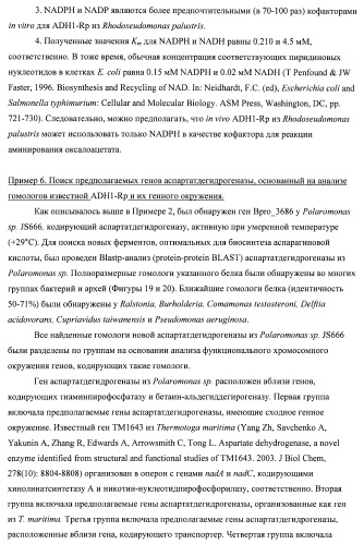 Бактерия семейства enterobacteriaceae - продуцент l-аспарагиновой кислоты или метаболитов, производных l-аспарагиновой кислоты, и способ получения l-аспарагиновой кислоты или метаблитов, производных l-аспарагиновой кислоты (патент 2472853)