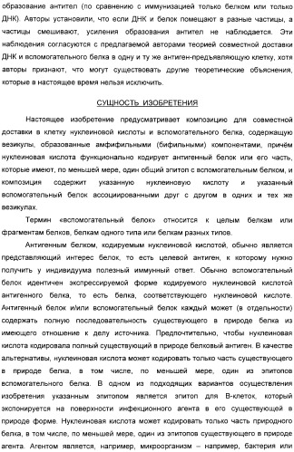 Способ усиления иммунного ответа при вакцинации нуклеиновой кислотой (патент 2311911)