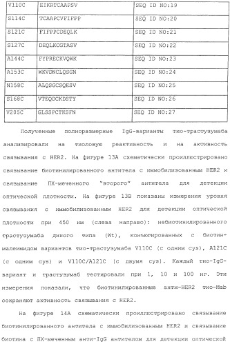 Антитела, сконструированные на основе цистеинов, и их конъюгаты (патент 2412947)