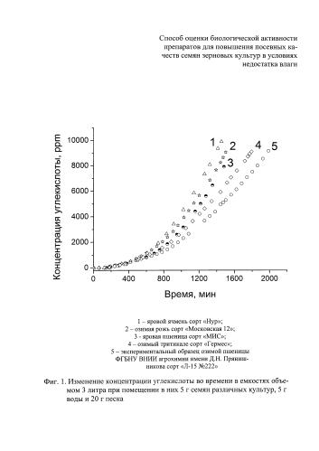 Способ оценки биологической активности препаратов для повышения посевных качеств семян зерновых культур в условиях недостатка влаги (патент 2583798)