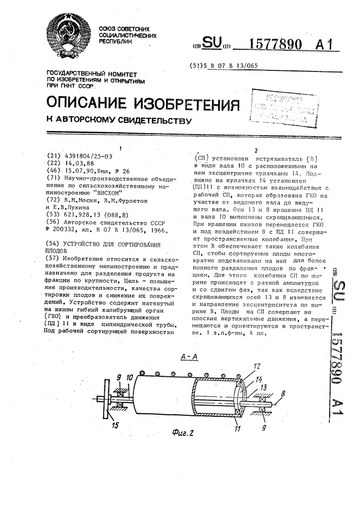Устройство для сортирования плодов (патент 1577890)