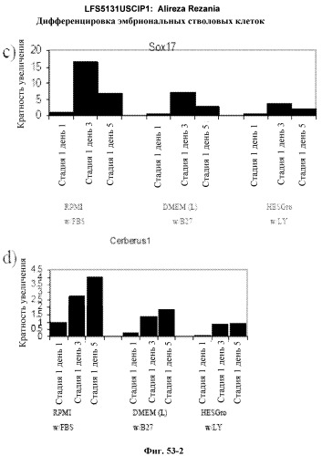 Дифференцировка эмбриональных стволовых клеток человека (патент 2465323)