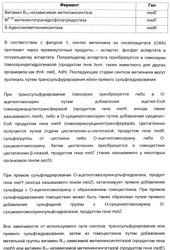 Применение диметилдисульфида для продукции метионина микроорганизмами (патент 2413001)