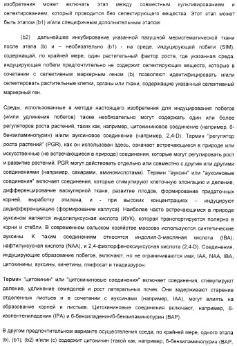 Улучшенная трансформация сои (патент 2389797)