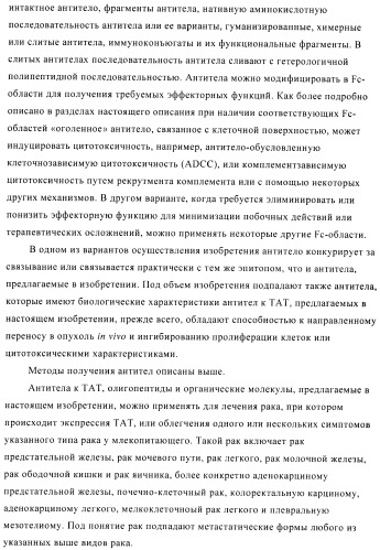 Композиции и способы диагностики и лечения опухоли (патент 2423382)