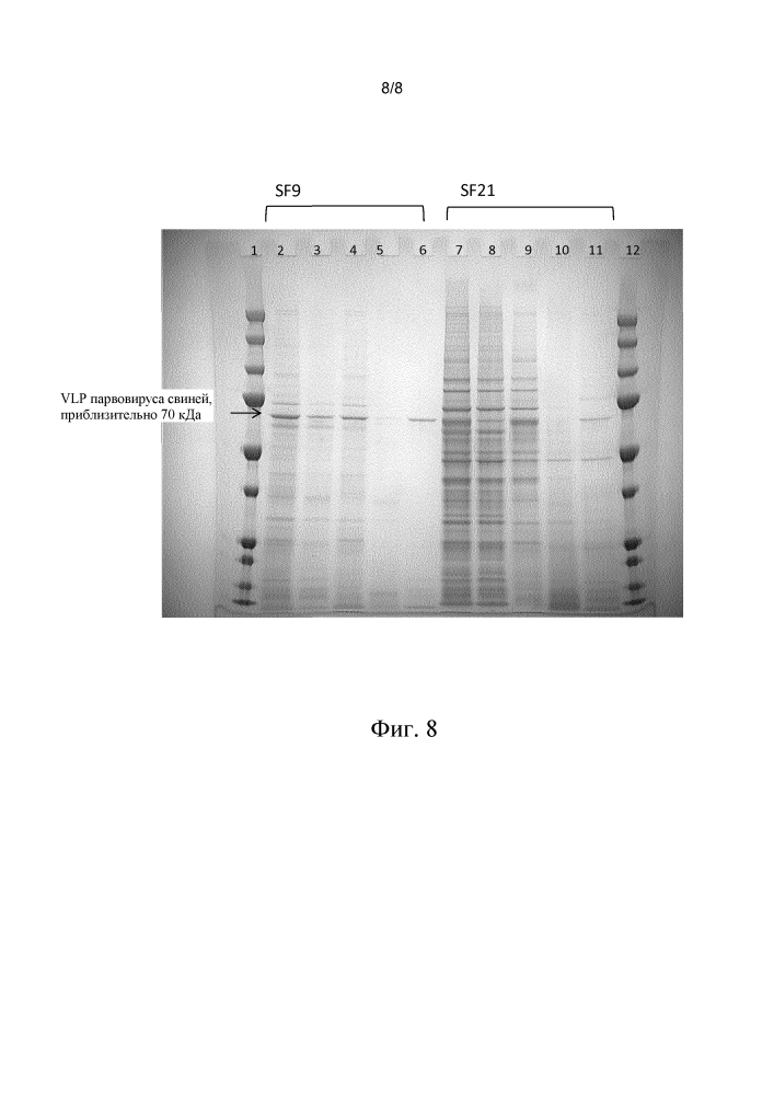 Способы выделения вирусоподобных частиц (патент 2648143)