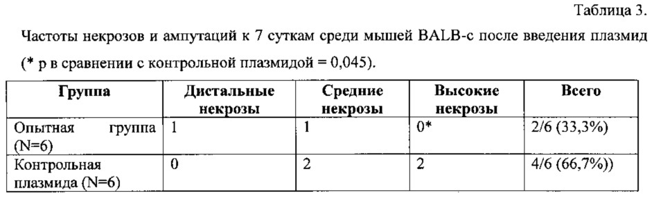 Способ стимуляции ангиогенеза в ишеминизированных тканях и комбинированное лекарственное средство для осуществления способа (патент 2628706)