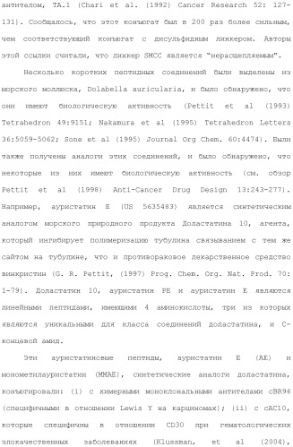 Антитела и иммуноконъюгаты и их применение (патент 2483080)