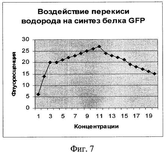 Рекомбинантная плазмидная днк для обнаружения агентов, повреждающих генетический аппарат клетки (варианты) (патент 2311459)