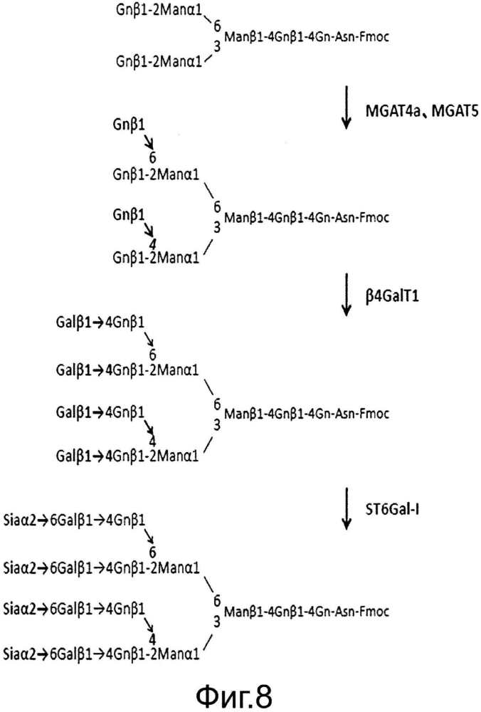 Способы получения сахарной цепи, содержащей сиаловую кислоту (патент 2597975)