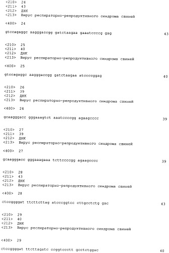 Композиция для защиты свиней от инфекции ррсс-вируса (варианты) и вакцина, содержащая указанную композицию (варианты) (патент 2381035)