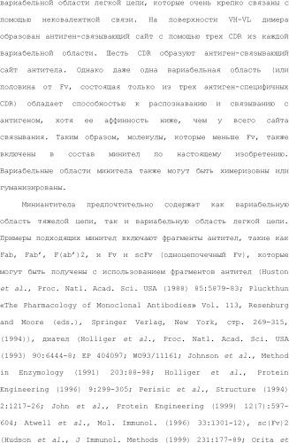 Способ модификации изоэлектрической точки антитела с помощью аминокислотных замен в cdr (патент 2510400)