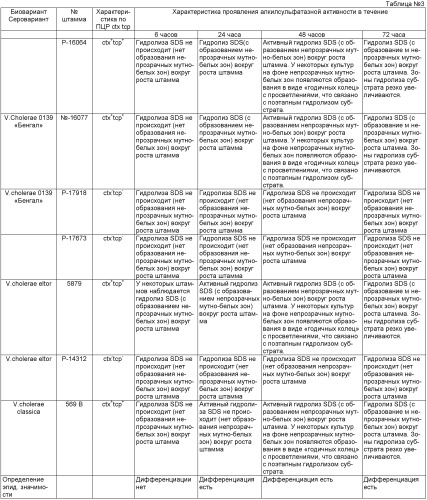 Способ дифференциации штаммов vibrio cholerae 0139 серогруппы по алкилсульфатозной активности (патент 2473697)