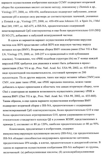 Упакованные иммуностимулирующей нуклеиновой кислотой частицы, предназначенные для лечения гиперчувствительности (патент 2451523)