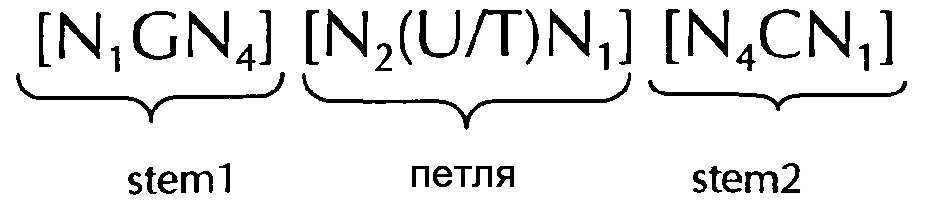 Нуклеиновая кислота, содержащая или кодирующая гистоновую структуру типа"стебель-петля" и поли(а)-последовательность или сигнал полиаденилирования, для увеличения экспрессии кодируемого опухолевого антигена (патент 2650795)