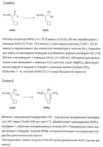 Новые пептиды как ингибиторы ns3-серинпротеазы вируса гепатита c (патент 2404189)