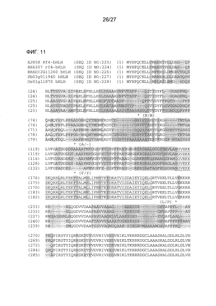 Ген-восстановитель rf4 для цитоплазматической мужской стерильности (cms) c-типа кукурузы, молекулярные маркеры и их применение (патент 2603005)