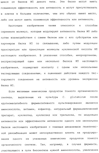 Гены corynebacterium glutamicum, кодирующие белки метаболических путей (патент 2306339)
