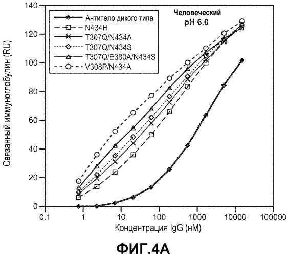 Варианты иммуноглобулина и их применения (патент 2536937)
