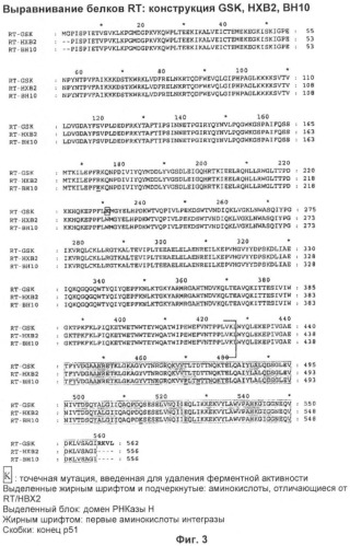 Вакцина для предупреждения и лечения вич-инфекции (патент 2441878)