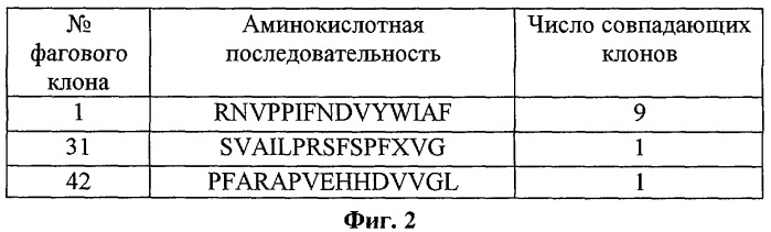 Опухоль-адресованный пептид (патент 2273644)