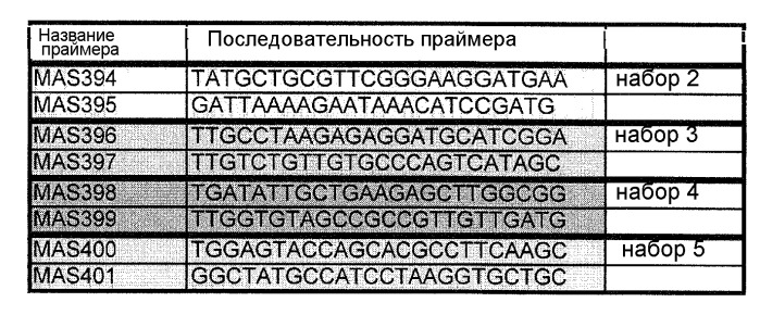 Способы in vitro для создания и поддержания линий растительных клеток в виде отдельных клеток в суспензии с интактными клеточными стенками и их трансформации (патент 2451744)