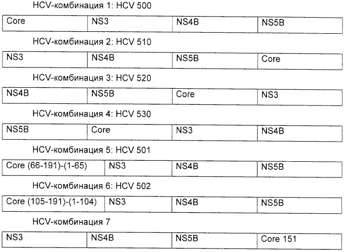 Вакцина против hcv (патент 2323744)