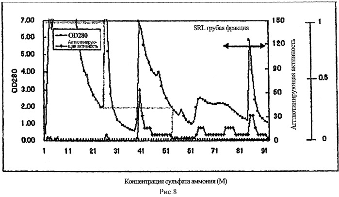 L-фукоза α1→6 специфичный лектин (патент 2524425)