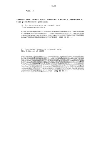 Антитела к fcrh5, их иммуноконъюгаты и способы их применения (патент 2587621)