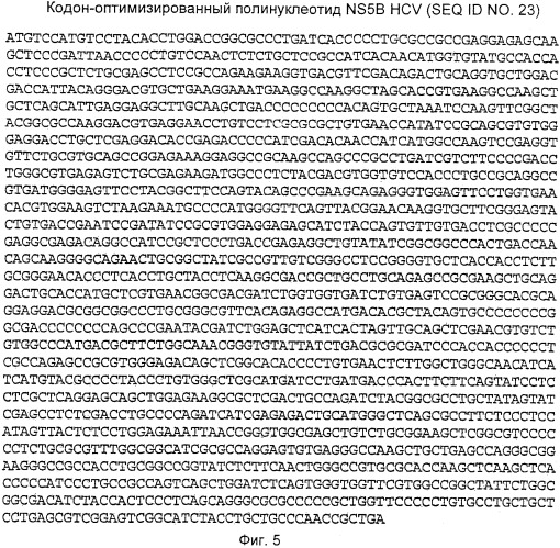 Вакцина против hcv (патент 2323744)