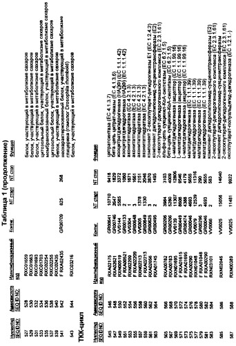 Гены corynebacterium glutamicum, кодирующие белки, участвующие в метаболизме углерода и продуцировании энергии (патент 2310686)