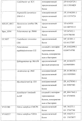 Способ продукции (2s,3r,4s)-4-гидрокси-l-изолейцина с использованием бактерии, в которой разрушена активность 4-гидрокси-l-изолейциндегидрогеназы (патент 2395578)