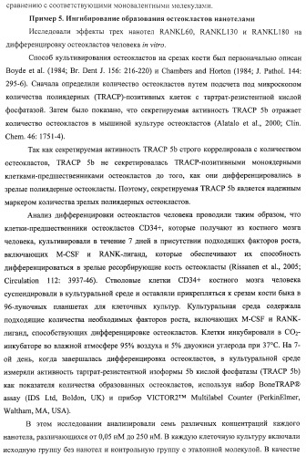 Аминокислотные последовательности, направленные на rank-l, и полипептиды, включающие их, для лечения заболеваний и нарушений костей (патент 2481355)