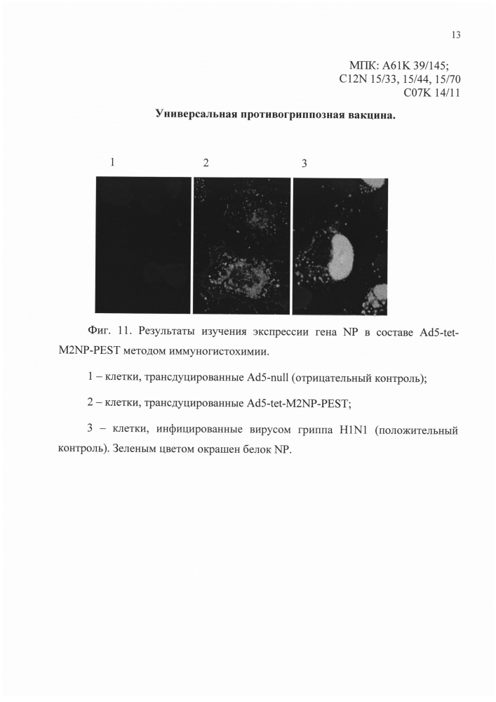 Универсальная противогриппозная вакцина (патент 2618918)