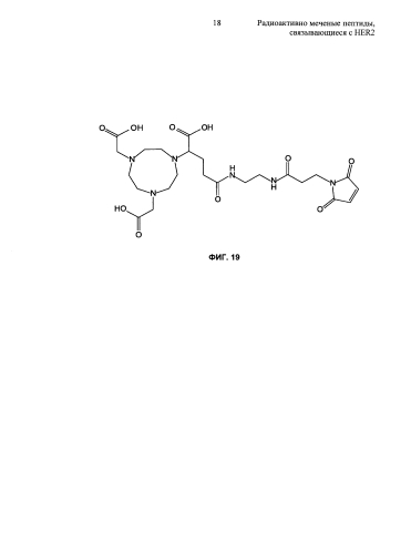 Радиоактивно меченые пептиды, связывающиеся с her2 (патент 2592685)