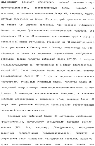 Гены corynebacterium glutamicum, кодирующие белки метаболических путей (патент 2306339)