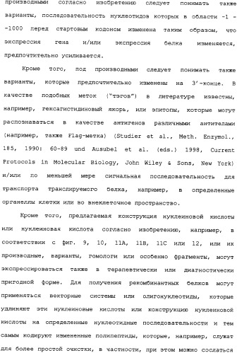 Ее3-семейство белков и соответствующие днк-последовательности (патент 2333918)