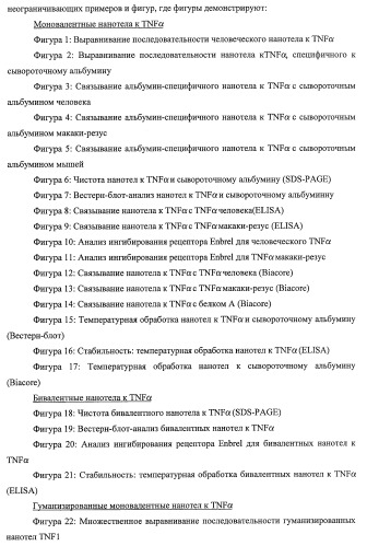 Улучшенные нанотела против фактора некроза опухоли-альфа (патент 2464276)