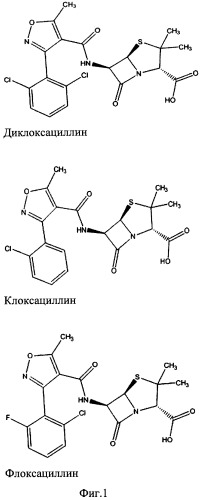 Способ получения бета-лактамных антибиотиков в виде геля полимерного комплекса с ионами серебра (патент 2484810)