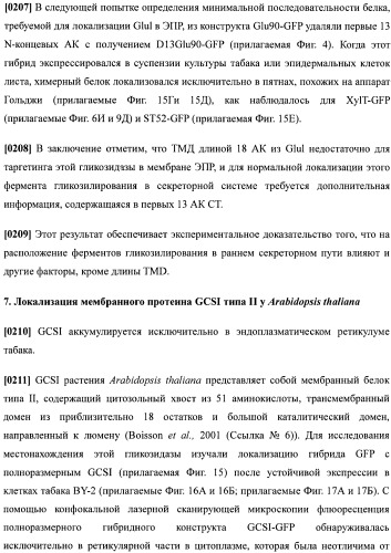 Набор последовательностей для таргетинга экспрессии и контроля посттрансляционных модификаций рекомбинантного полипептида (патент 2481399)