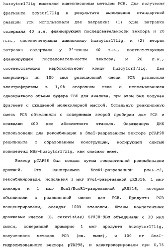 Новый лиганд рецептора цитокина zcytor17 (патент 2360923)
