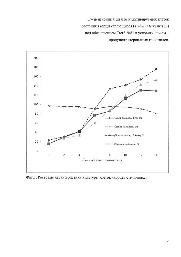 Суспензионный штамм культивируемых клеток растения якорцы стелющиеся (tribulus terrestris l.) под обозначением tter8 n81 в условиях in vitro - продуцент стероидных гликозидов (патент 2617956)