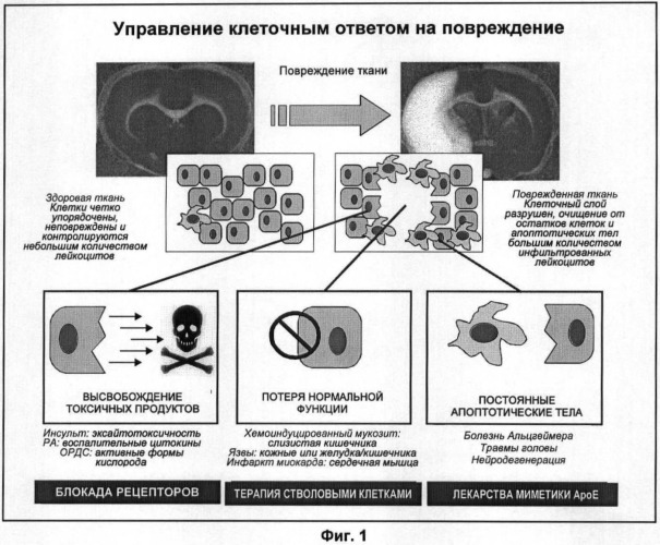 Способы и средства (патент 2480770)