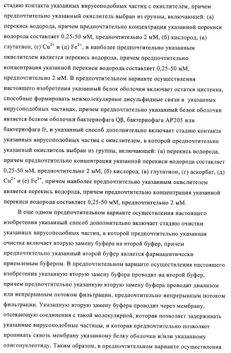 Способы упаковки олигонуклеотидов в вирусоподобные частицы рнк-содержащих бактериофагов (патент 2476595)