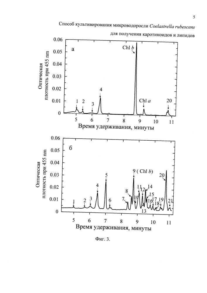 Способ культивирования микроводоросли coelastrella rubescens для получения каротиноидов и липидов (патент 2661086)