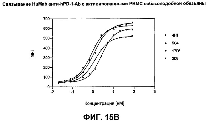 Моноклональные антитела человека к белку программируемой смерти 1 (pd-1) и способы лечения рака с использованием анти-pd-1-антител самостоятельно или в комбинации с другими иммунотерапевтическими средствами (патент 2494107)