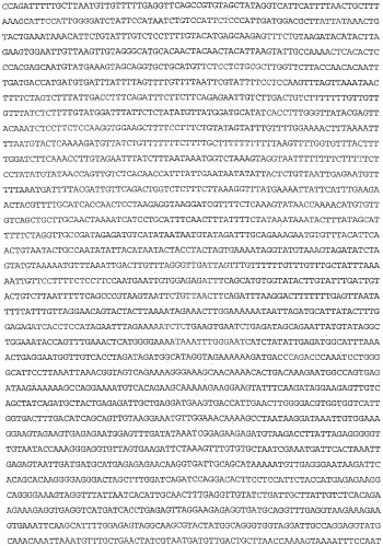 Применение s1p (патент 2362565)