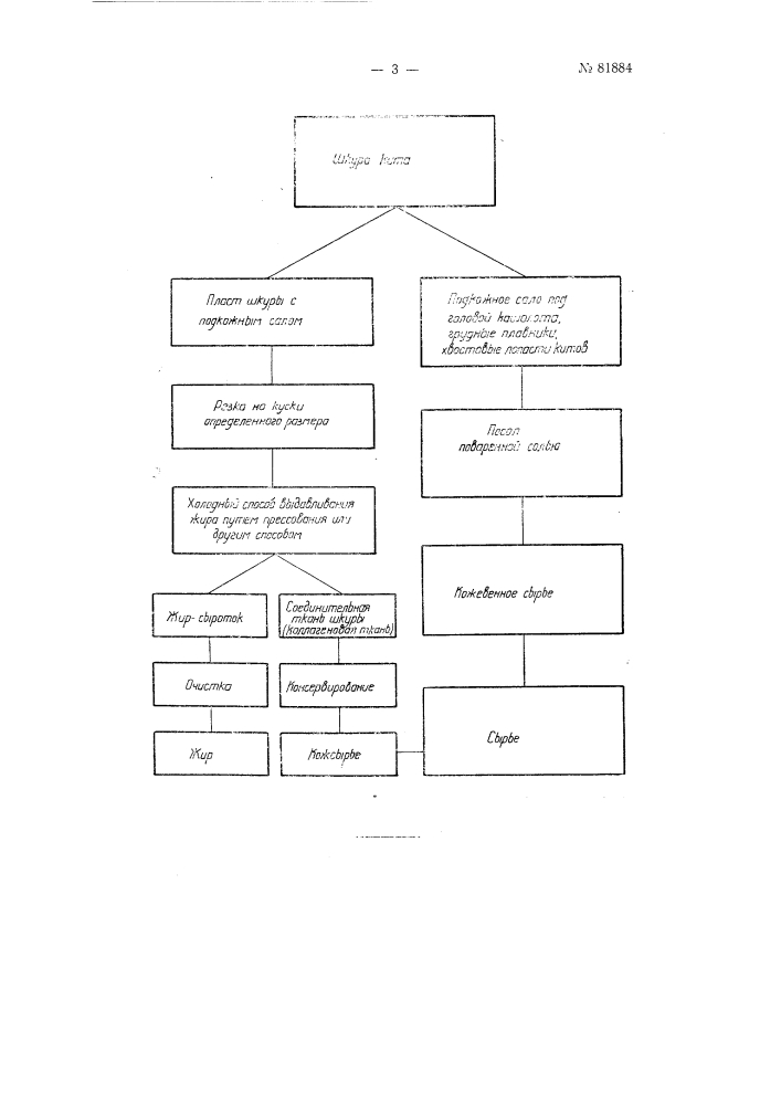 Способ обработки шкур кита (патент 81884)