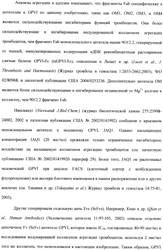 Антитела к гликопротеину vi и способы продуцирования и использования этих антител (патент 2407752)
