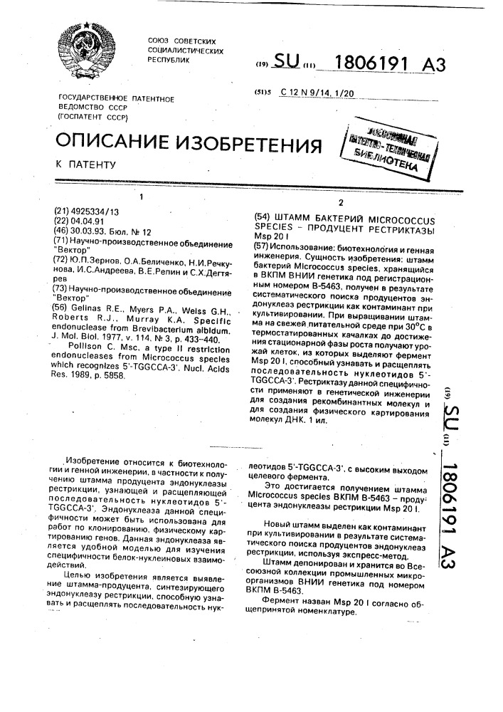 Штамм бактерий micrococcus species - продуцент рестриктазы msp 20 i (патент 1806191)